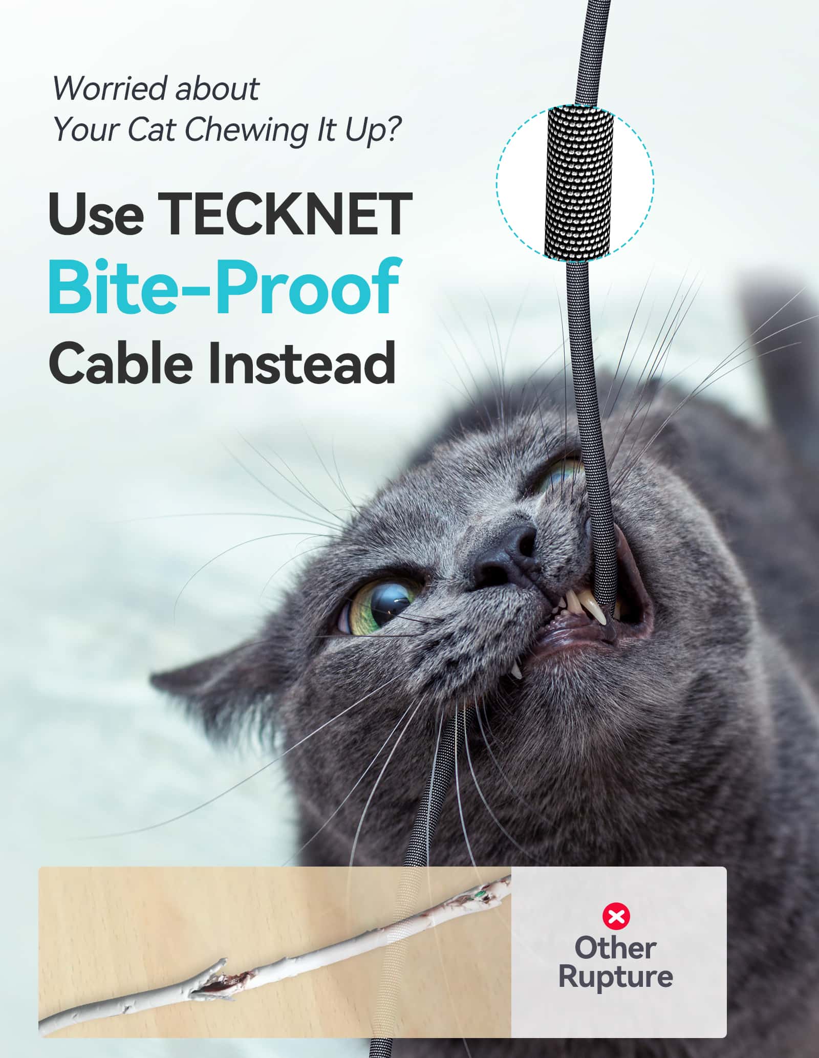 TECKNET 2Pack 2M USB C Fast Charging Cable, Nylon Braided Data Lead