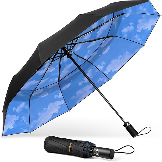 TECKNET Windproof Umbrella, Large Wind Resistant Umbrella with 10 Ribs, Auto Open Close